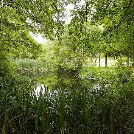 Un Petit Coin De Campagne Dans Le Pays De Saint-Gilles Villa Exteriör bild