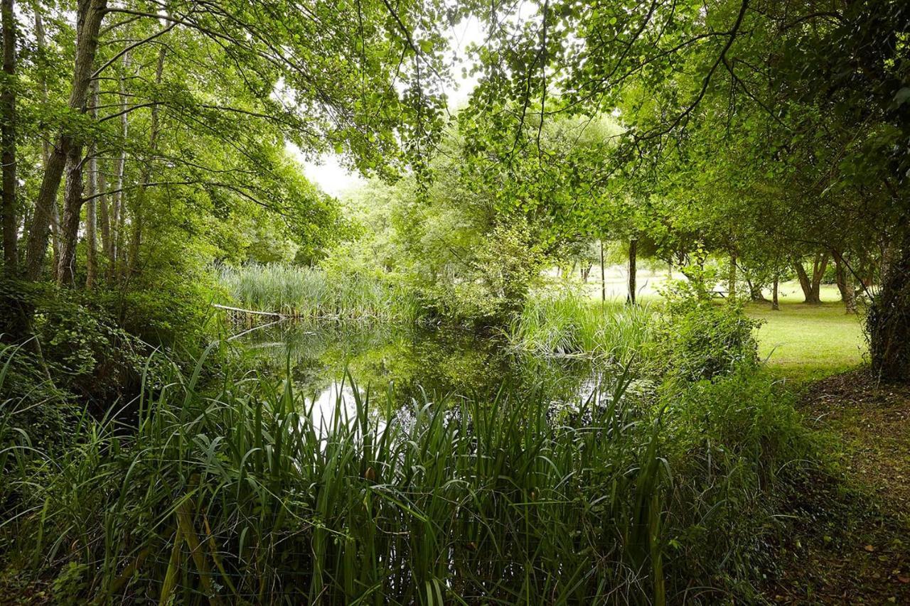 Un Petit Coin De Campagne Dans Le Pays De Saint-Gilles Villa Exteriör bild